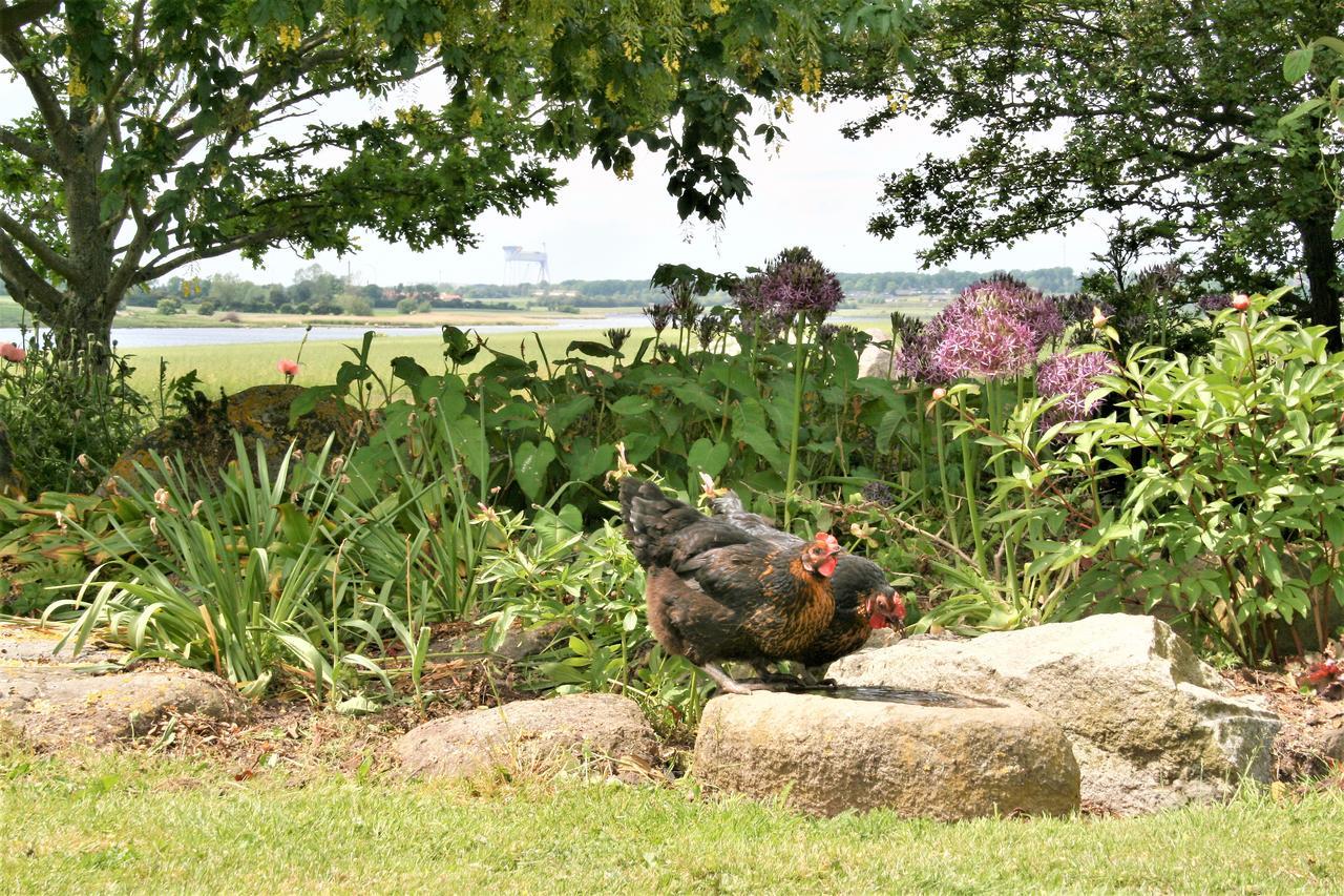 Rodkaergard Bed&Breakfast Kerteminde Eksteriør bilde