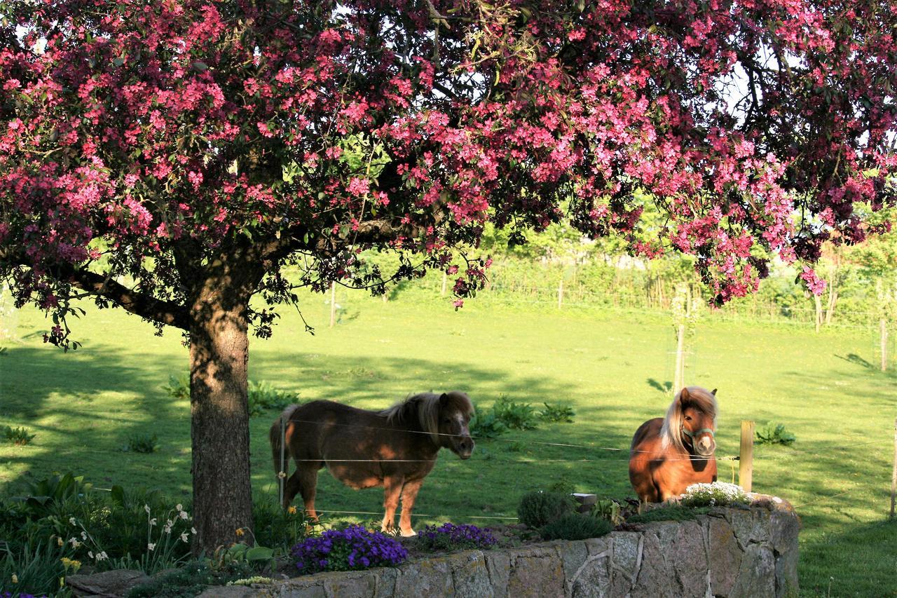Rodkaergard Bed&Breakfast Kerteminde Eksteriør bilde
