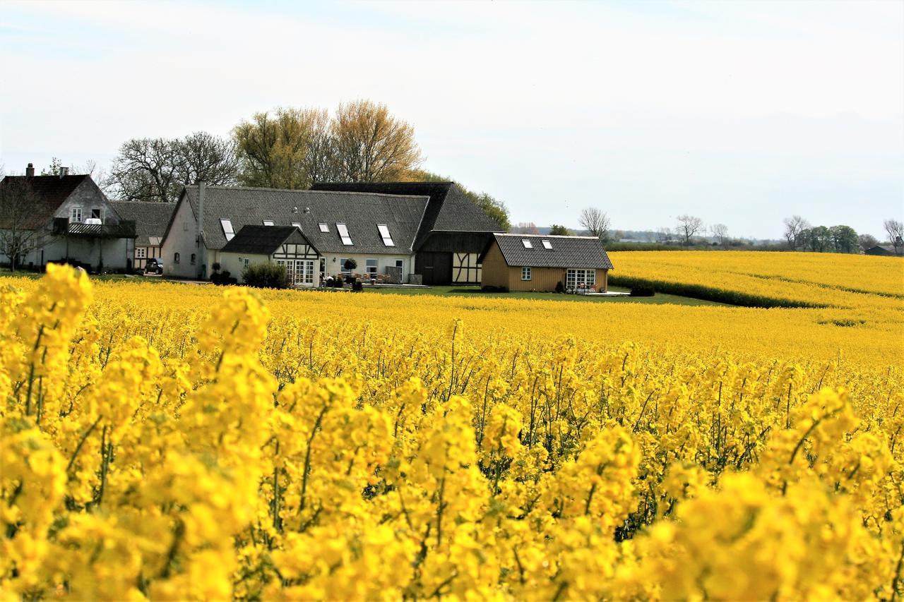 Rodkaergard Bed&Breakfast Kerteminde Eksteriør bilde